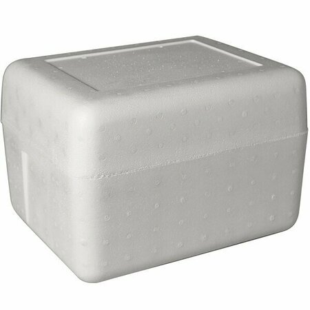 PLASTILITE Insulated Foam Cooler 13 3/8'' x 10 3/8'' x 8 3/8'' - 1 1/2'' Thick 451TK19PLT